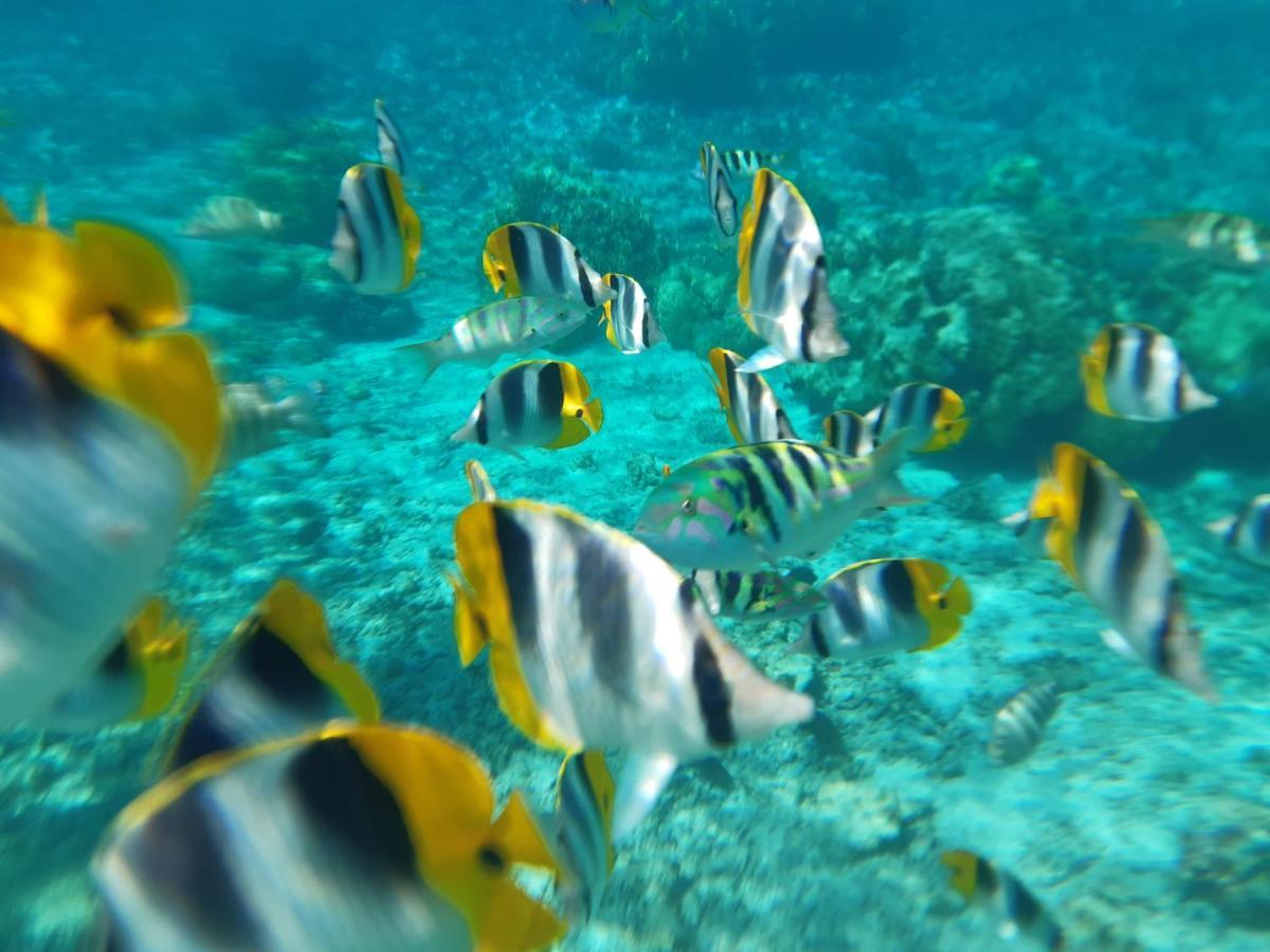 Fare O'Eden Villa Bora Bora Esterno foto